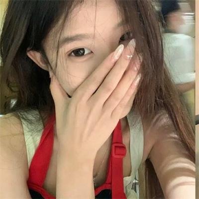 总统班底